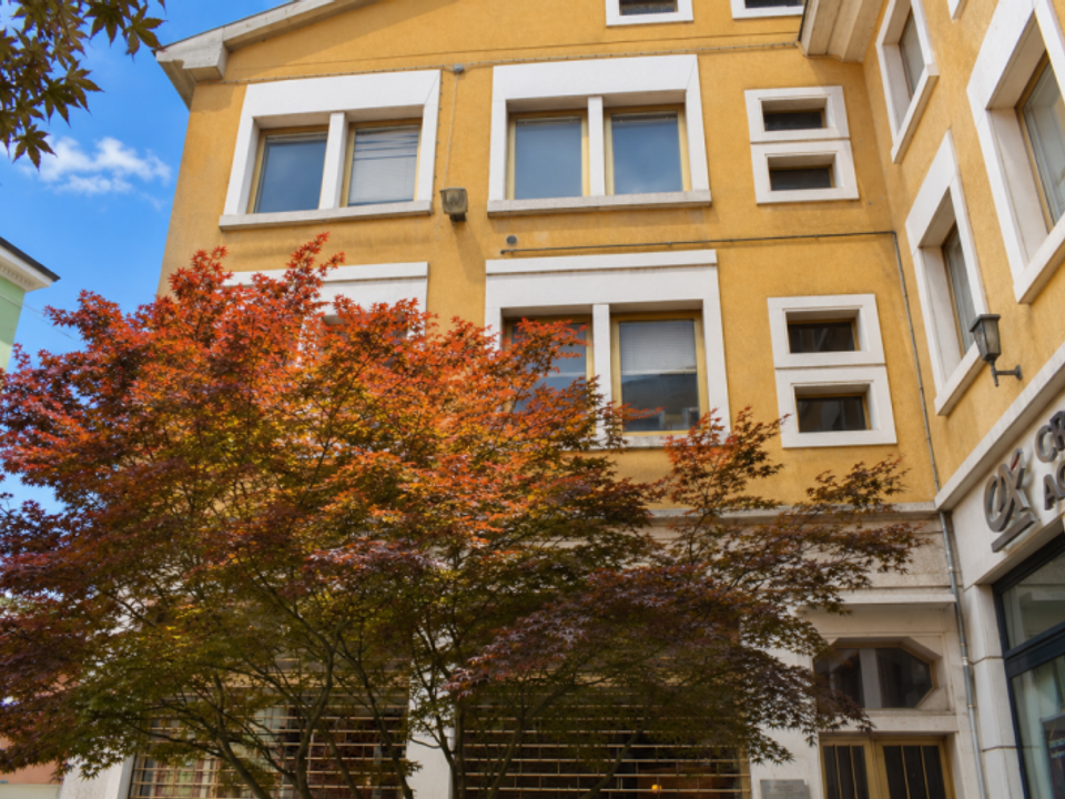 Wohnung in Salsomaggiore Terme, Parma - Foto 1