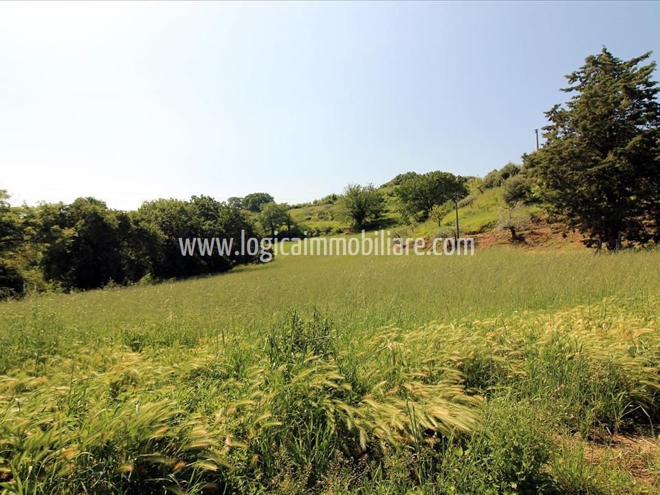 Farm hus i Chiusi, Siena - foto 3