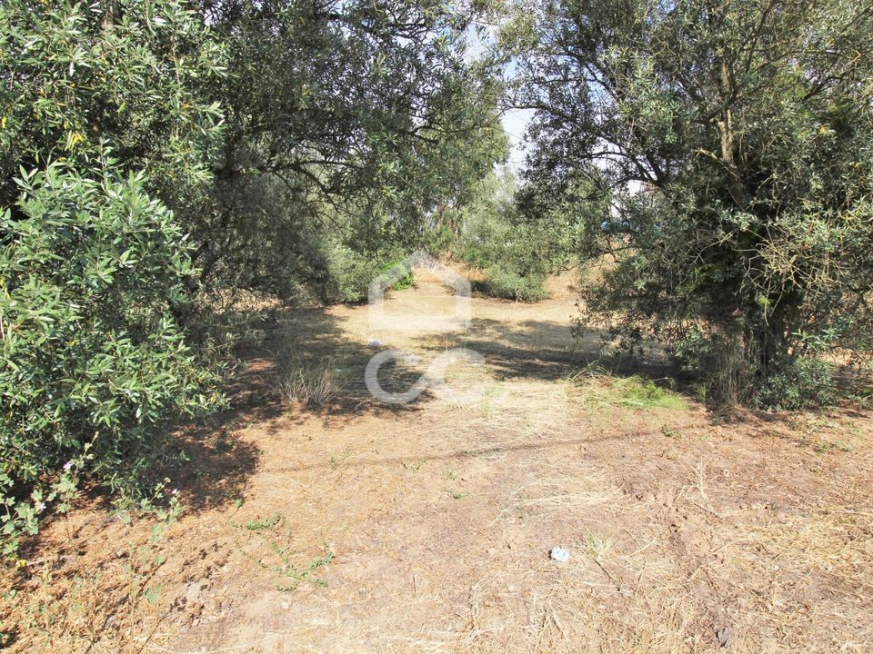 Land in Seixal, Setubal - photo 3