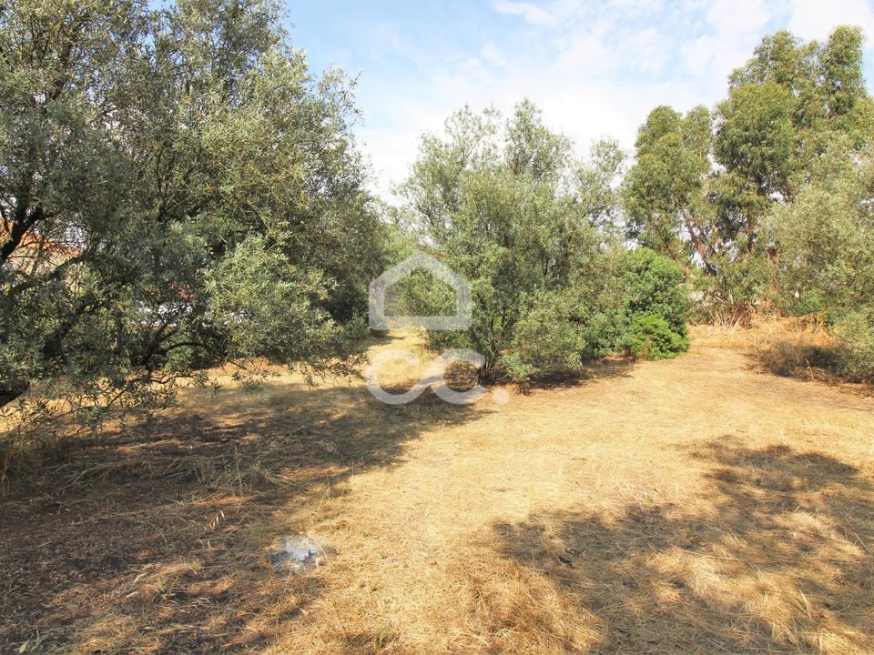 Land in Seixal, Setubal - photo 5