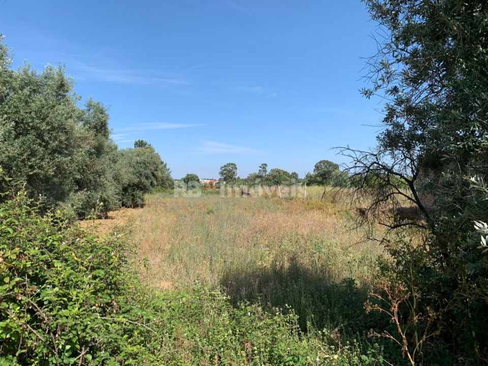 Helårsgrund i Torres Novas, Santarem - foto 1