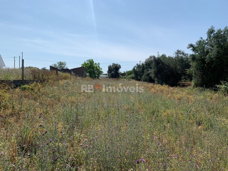 Helårsgrund i Torres Novas, Santarem - foto 3