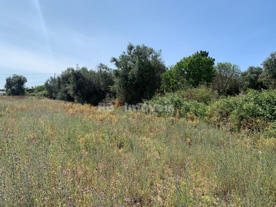 Helårsgrund i Torres Novas, Santarem - foto 5