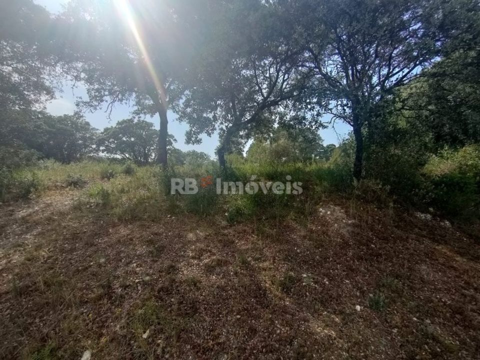 Helårsgrund i Olaia e Paco, Santarem - foto 5