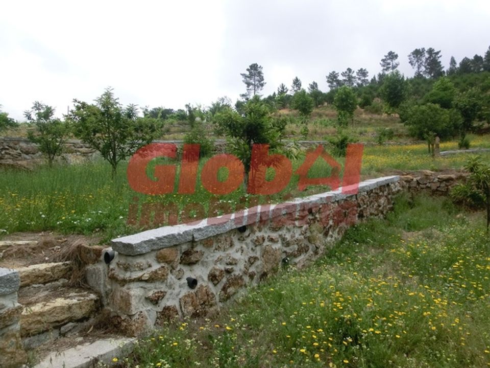 Farm i Mangualde, Viseu - foto 2