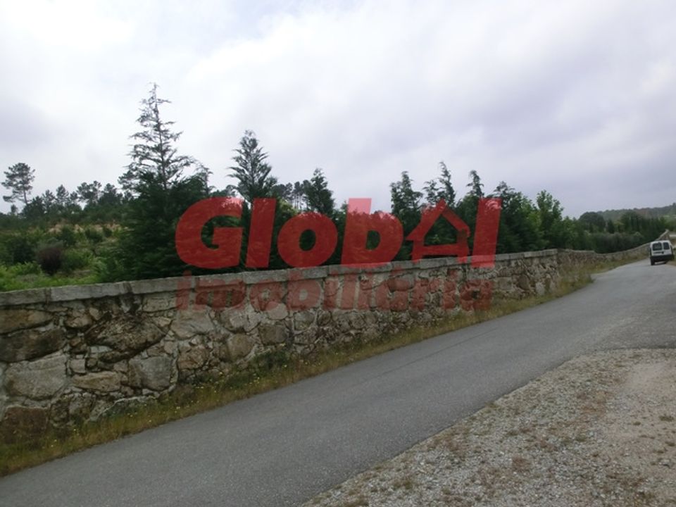 Farm i Mangualde, Viseu - foto 3