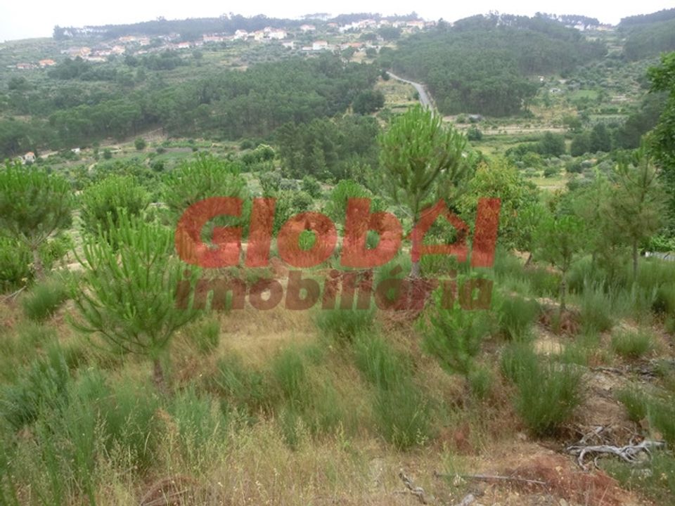 Farm i Mangualde, Viseu - foto 5