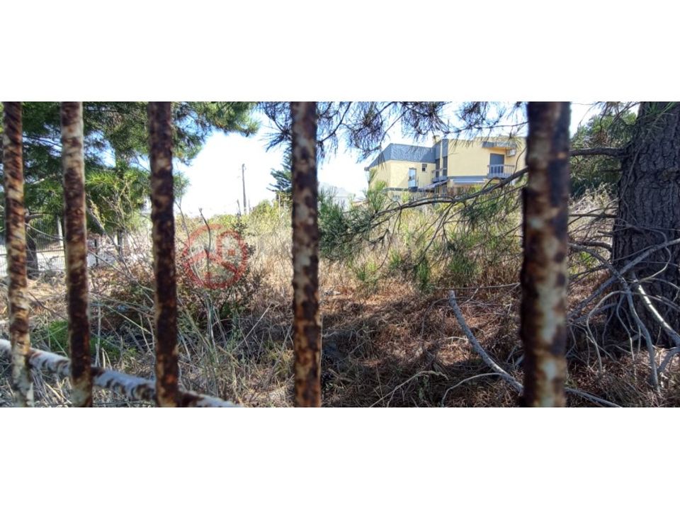 Helårsgrund i Amora, Setubal - foto 3