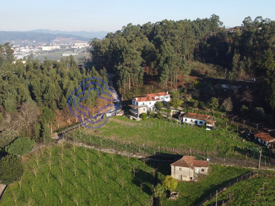 Farm i Felgueiras, Porto - foto 1