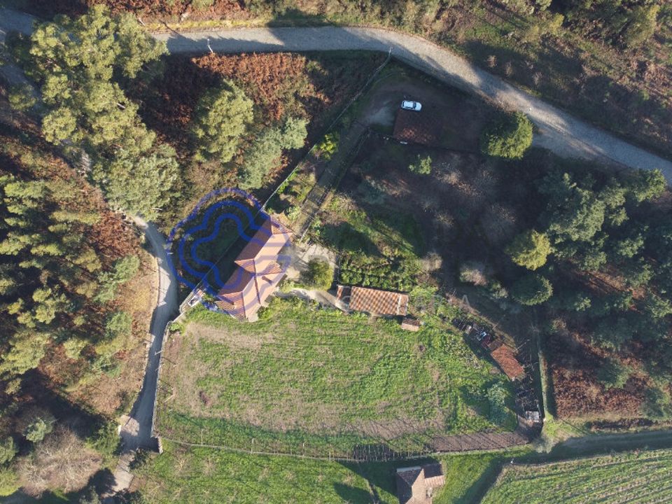 Farm i Felgueiras, Porto - foto 3