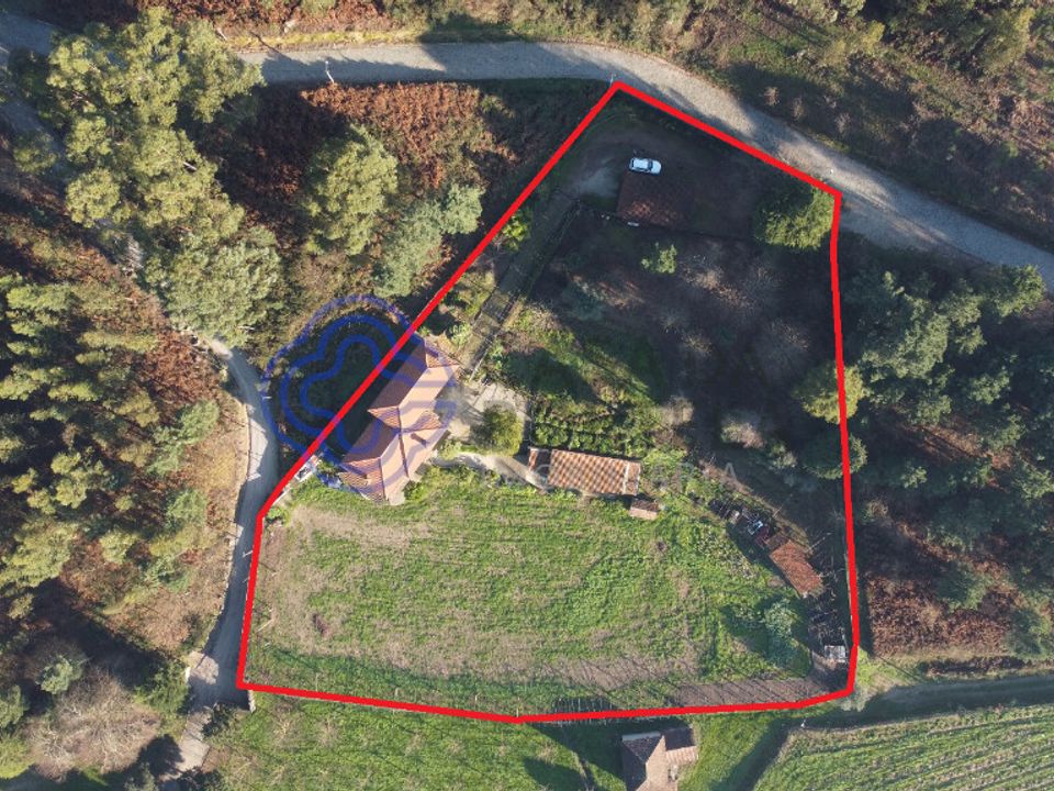 Farm i Felgueiras, Porto - foto 4