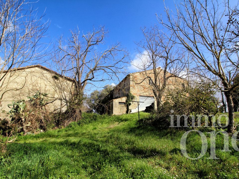 Villa a Collesalvetti, Livorno - foto 3
