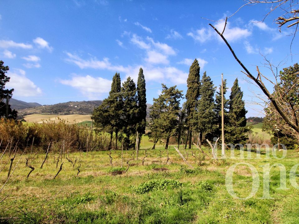 Villa a Collesalvetti, Livorno - foto 4