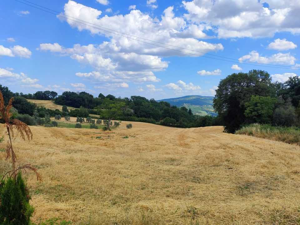 Villa i Todi, Perugia - foto 4
