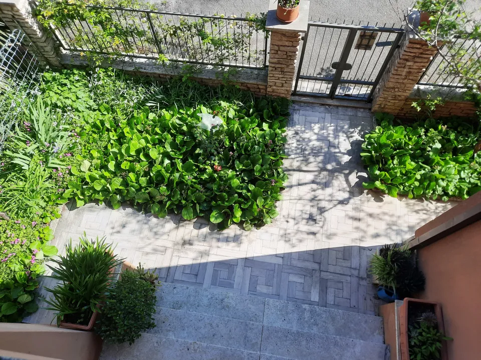 Villa a Sarzana, La Spezia - foto 4