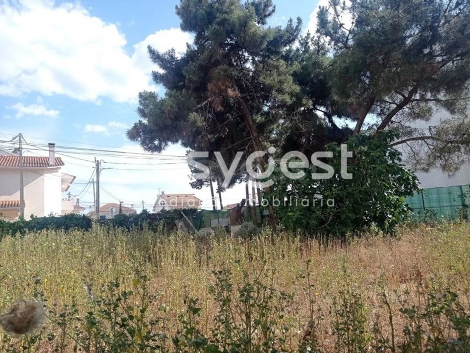 Terra a Quinta do Conde, Setubal - foto 1