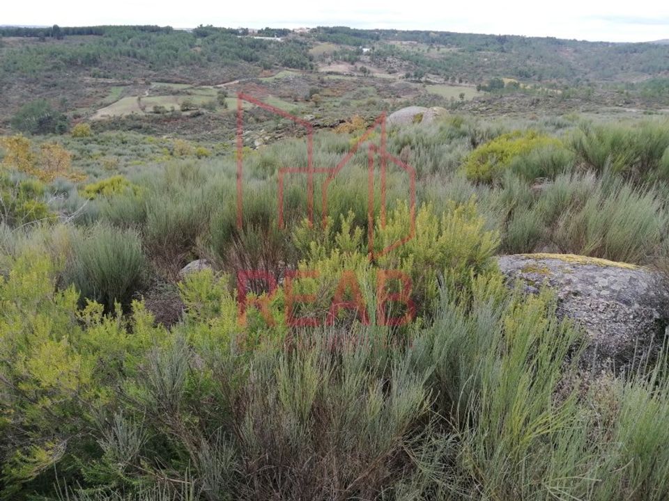 Tomt i Eirado, Guarda - bilde 3