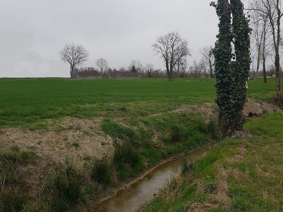 Terreno en Noale, Venice - foto 1