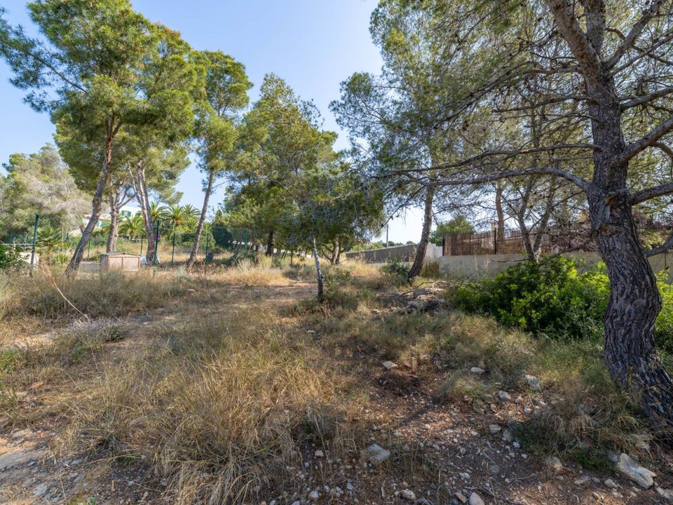 Helårsgrund i Cala Vinyes, Mallorca - foto 1