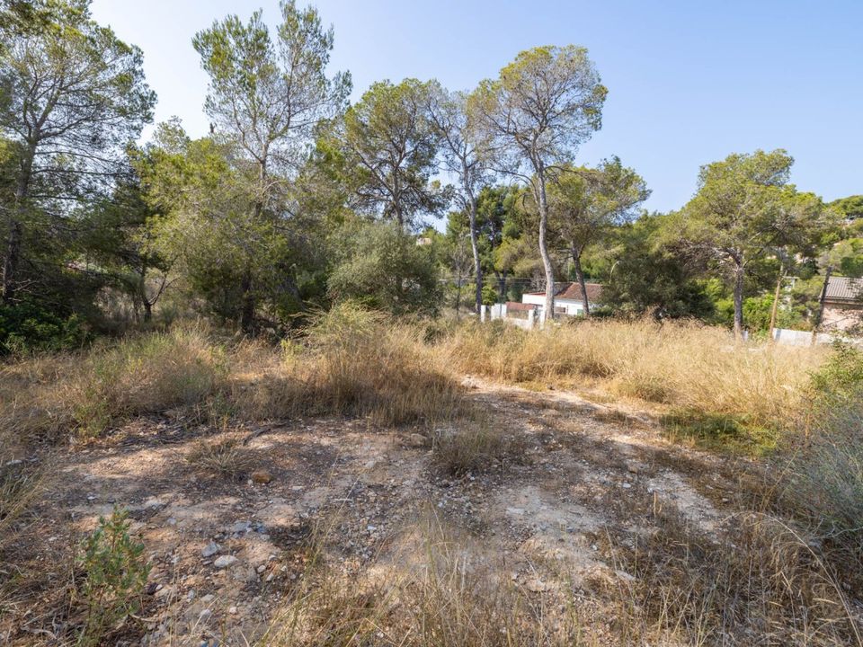 Helårsgrund i Cala Vinyes, Mallorca - foto 2
