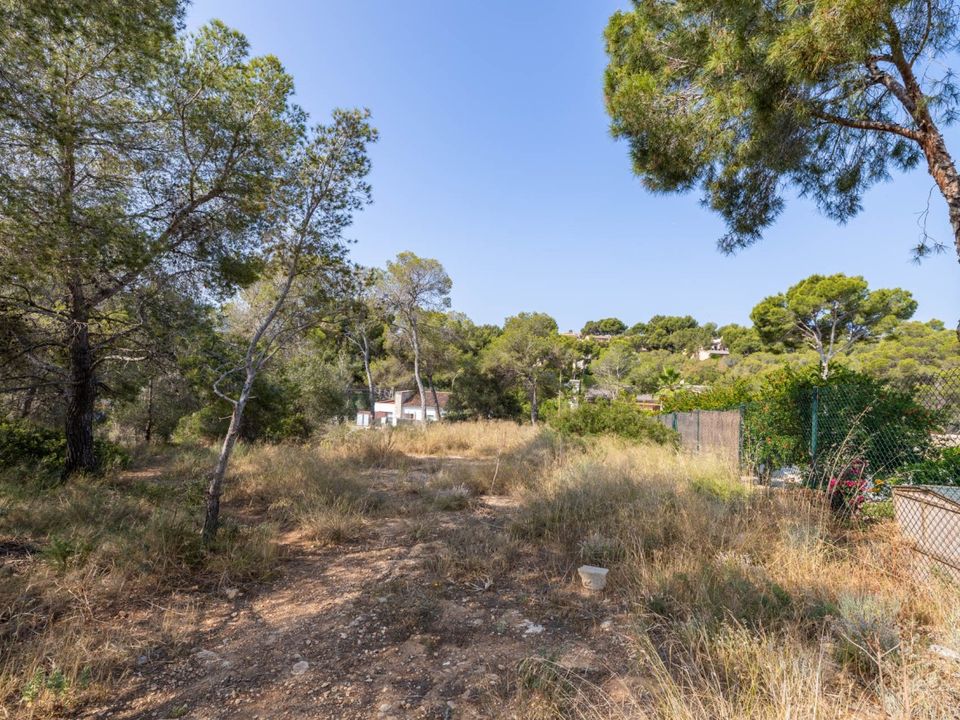 Helårsgrund i Cala Vinyes, Mallorca - foto 3