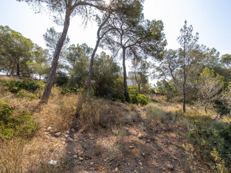 Helårsgrund i Cala Vinyes, Mallorca - foto 4