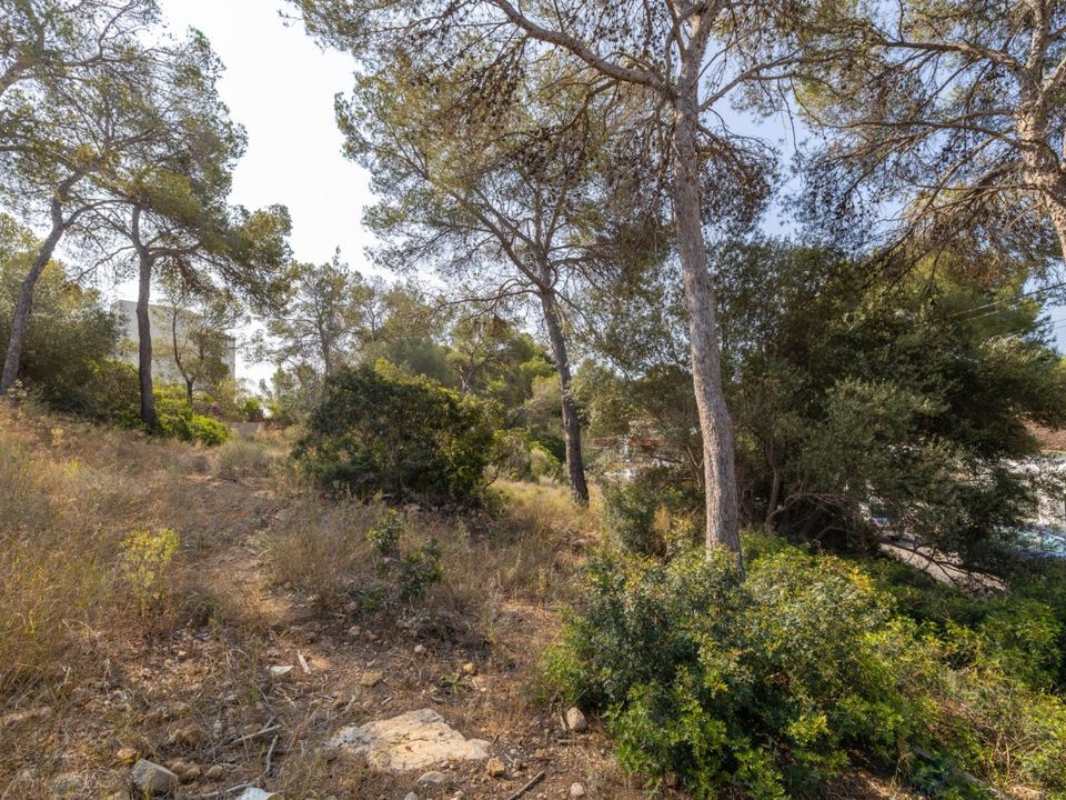 Helårsgrund i Cala Vinyes, Mallorca - foto 5