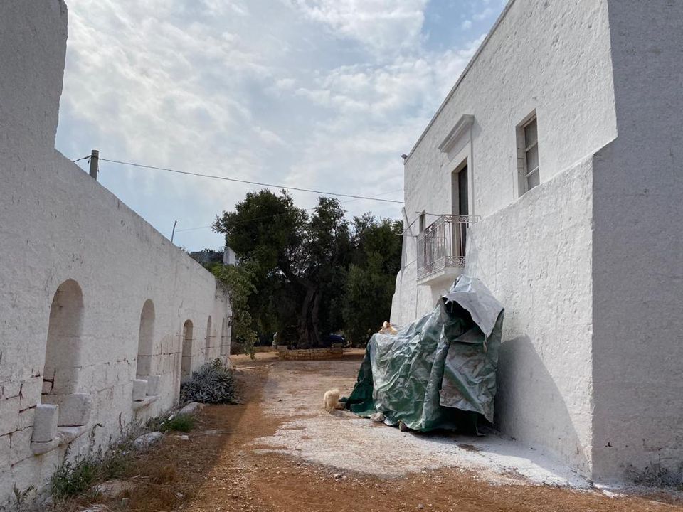 Landejendom i Ostuni, Brindisi - foto 3
