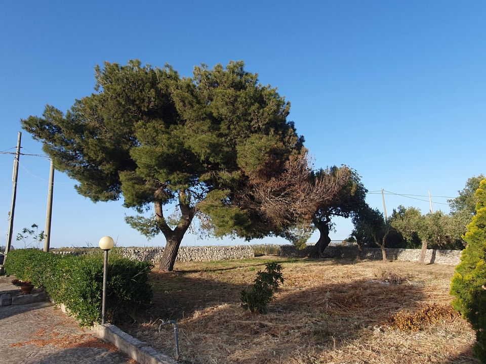 Villa i Modica, Ragusa - foto 4