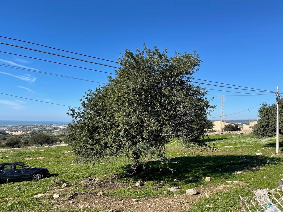 Erhvervsejendom i Scicli, Ragusa - foto 2