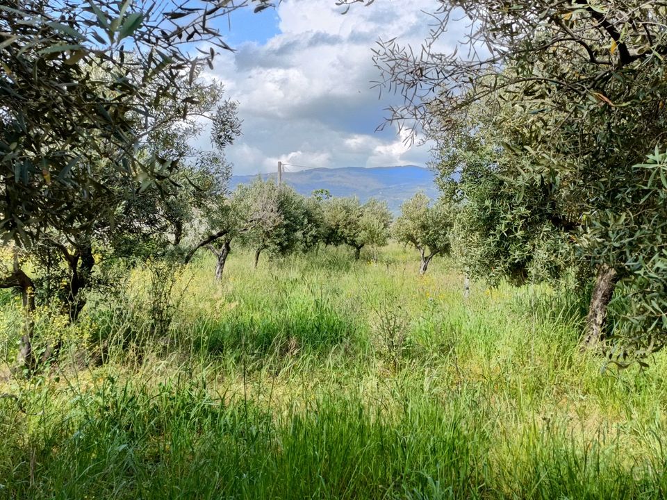 Erhvervsejendom i Lamezia Terme, Catanzaro - foto 5