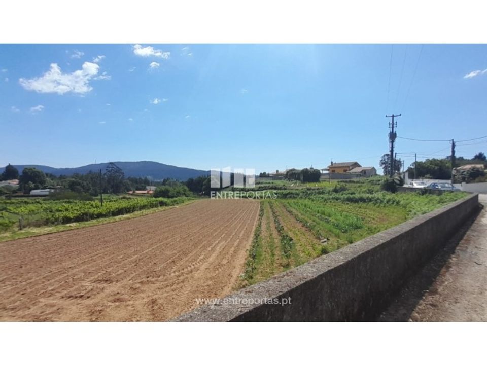 Helårsgrund i Caminha, Viana do Castelo - foto 1