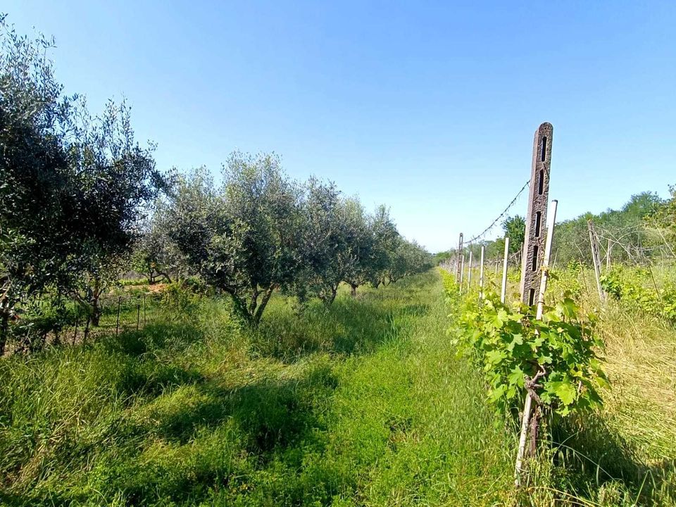 Byhus i Poggio Torriana, Rimini - foto 4