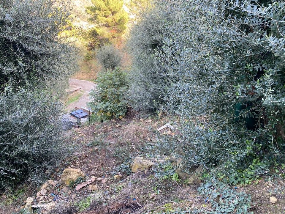 Villa i Ventimiglia, Imperia - foto 5