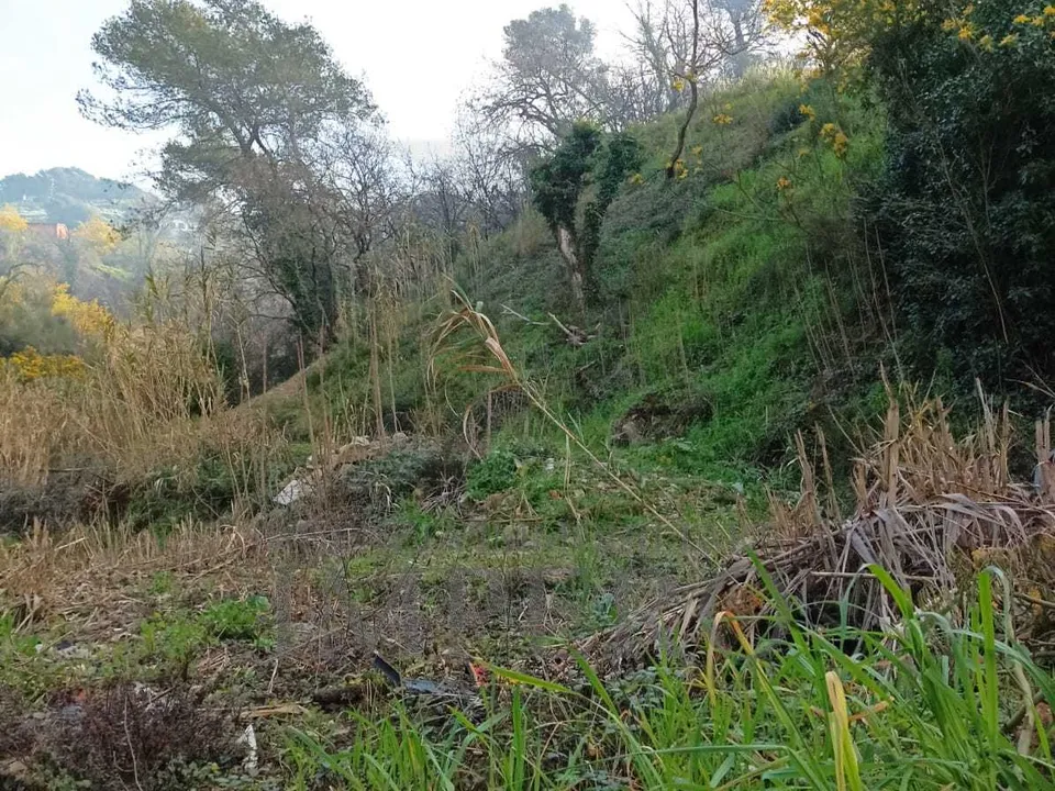 Erhvervsejendom i San Biagio della Cima, Imperia - foto 1