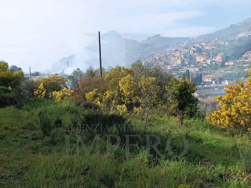 Erhvervsejendom i San Biagio della Cima, Imperia - foto 3