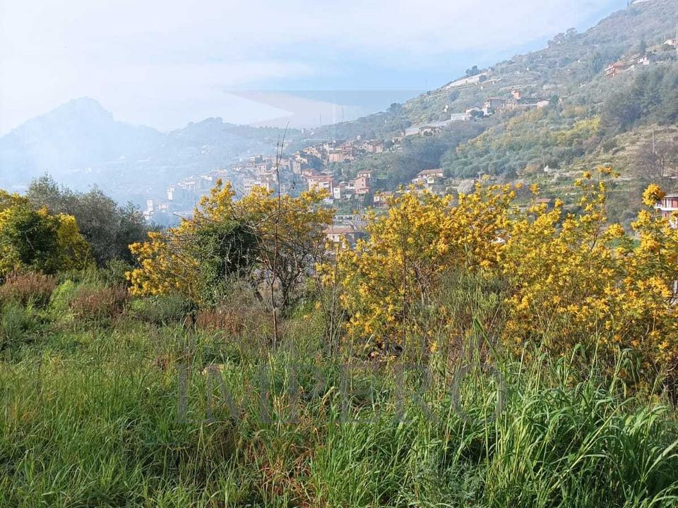Erhvervsejendom i San Biagio della Cima, Imperia - foto 4