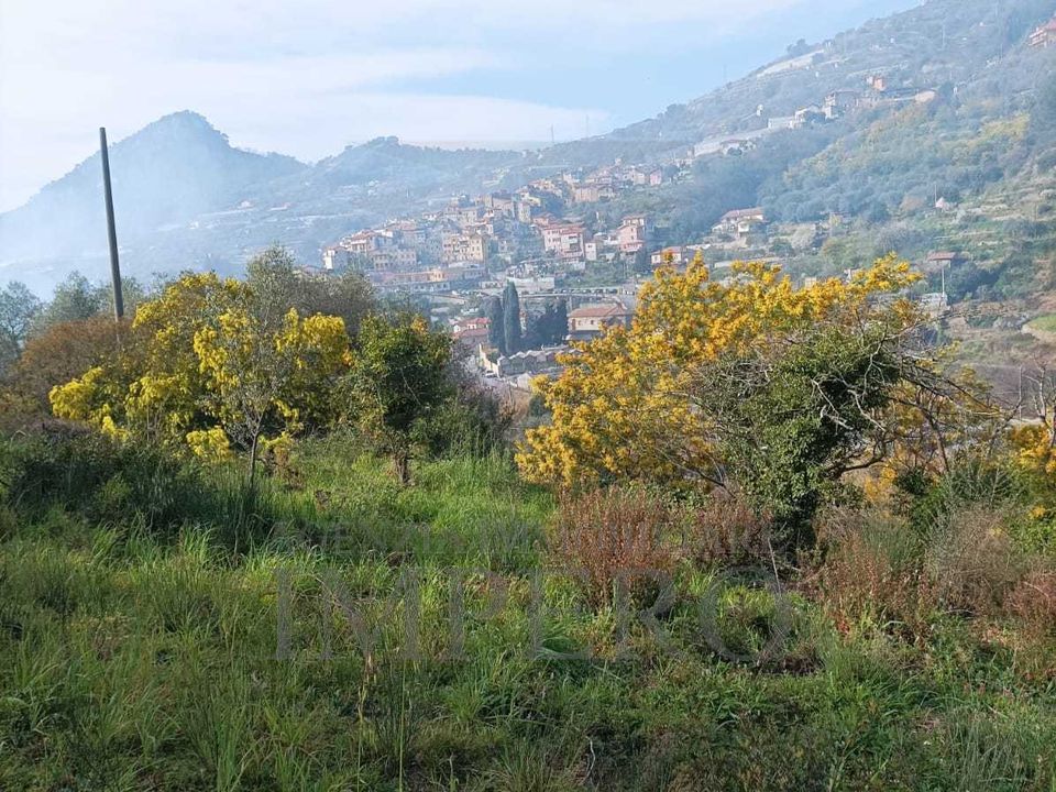 Erhvervsejendom i San Biagio della Cima, Imperia - foto 5