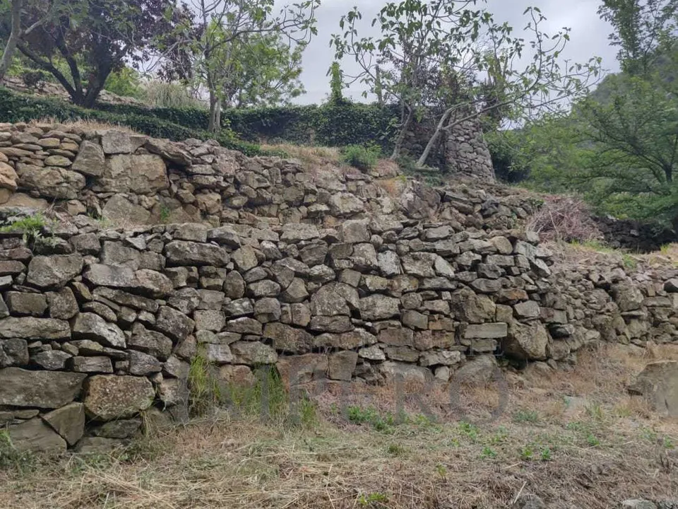 Villa i Dolceacqua, Imperia - bilde 4