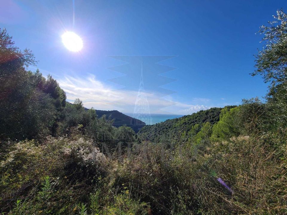 Helårsgrund i Camporosso, Imperia - foto 2