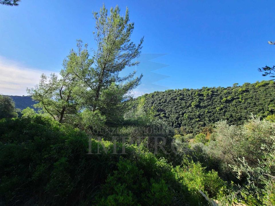 Helårsgrund i Camporosso, Imperia - foto 3