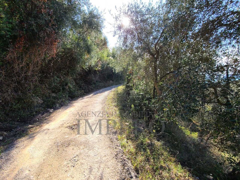 Helårsgrund i Camporosso, Imperia - foto 4