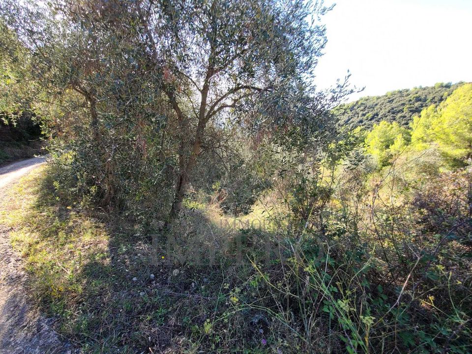 Helårsgrund i Camporosso, Imperia - foto 5