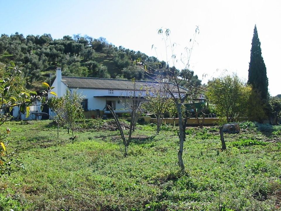 Villa i El Gastor, Cadiz - bilde 1