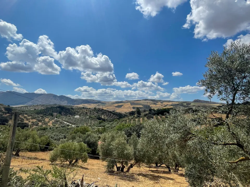Cortijo i Antequera, Malaga - foto 4