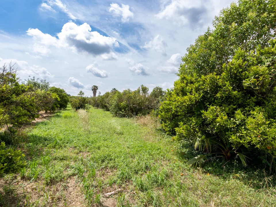 Finca en Bitem, Tarragona - foto 2