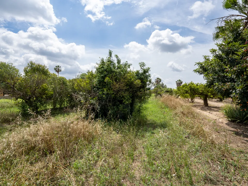 Finca en Bitem, Tarragona - foto 3