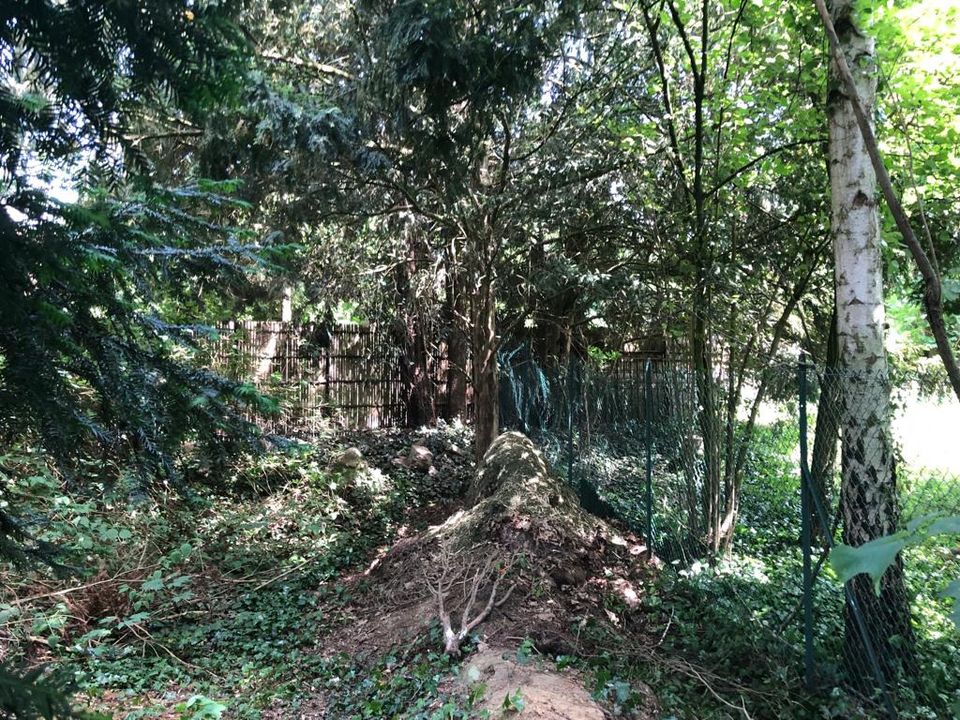 Helårsgrund i Garches, Hauts-de-Seine - foto 4