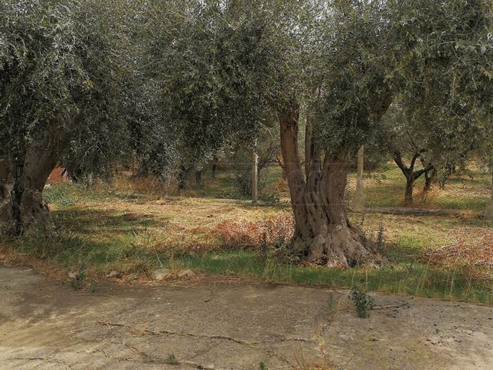 Rekkehus i Caltanissetta, Caltanissetta - bilde 3