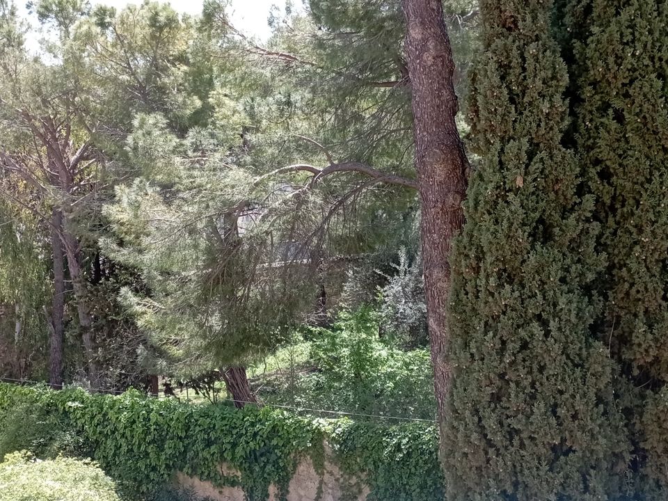 Leilighet i Ragusa, Ragusa - bilde 2